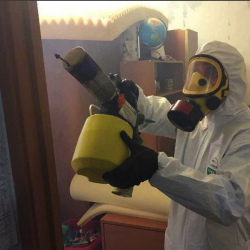 Уничтожение клопов в квартире. Дмитровский район